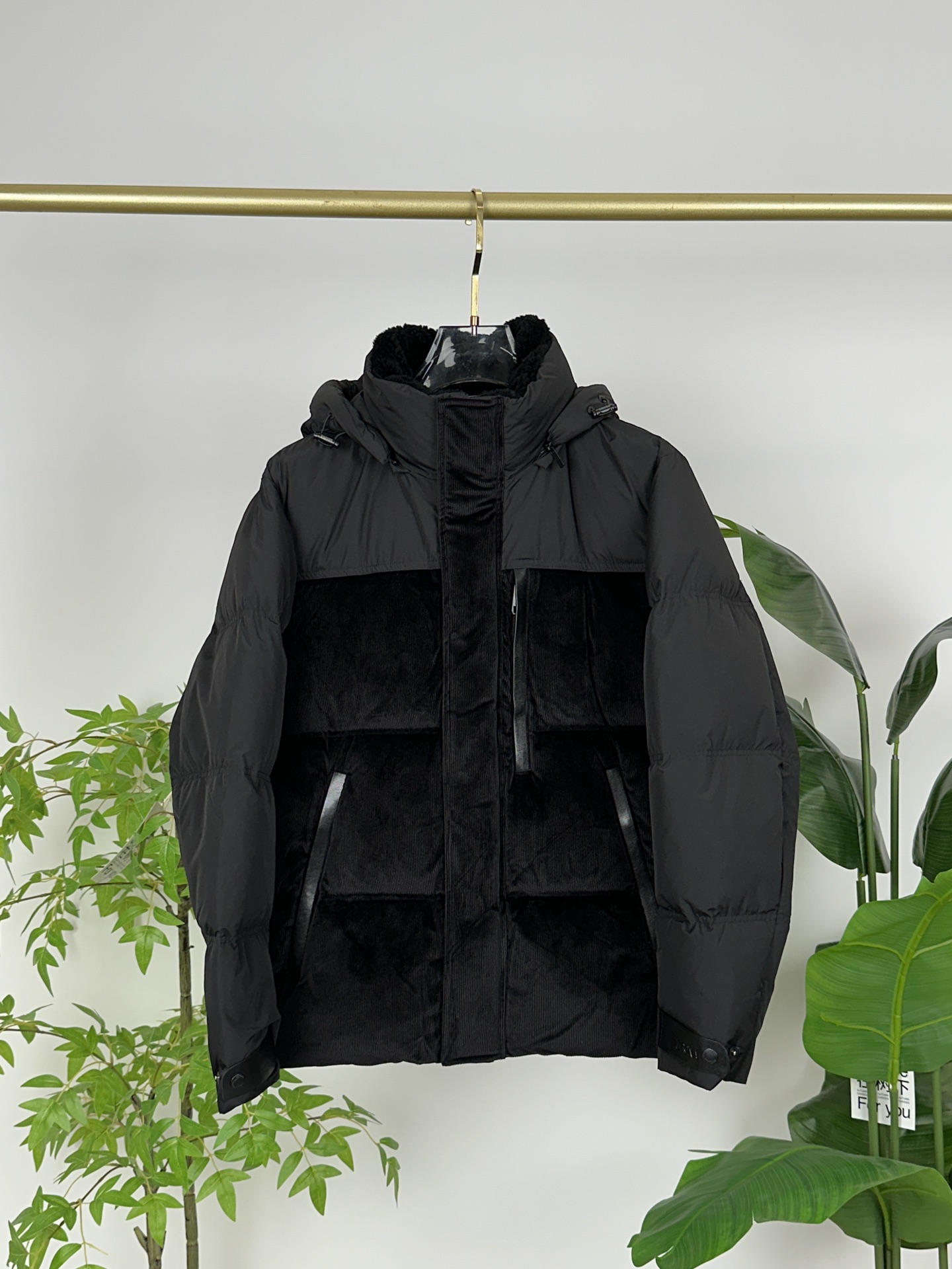 Zegna Down Jackets